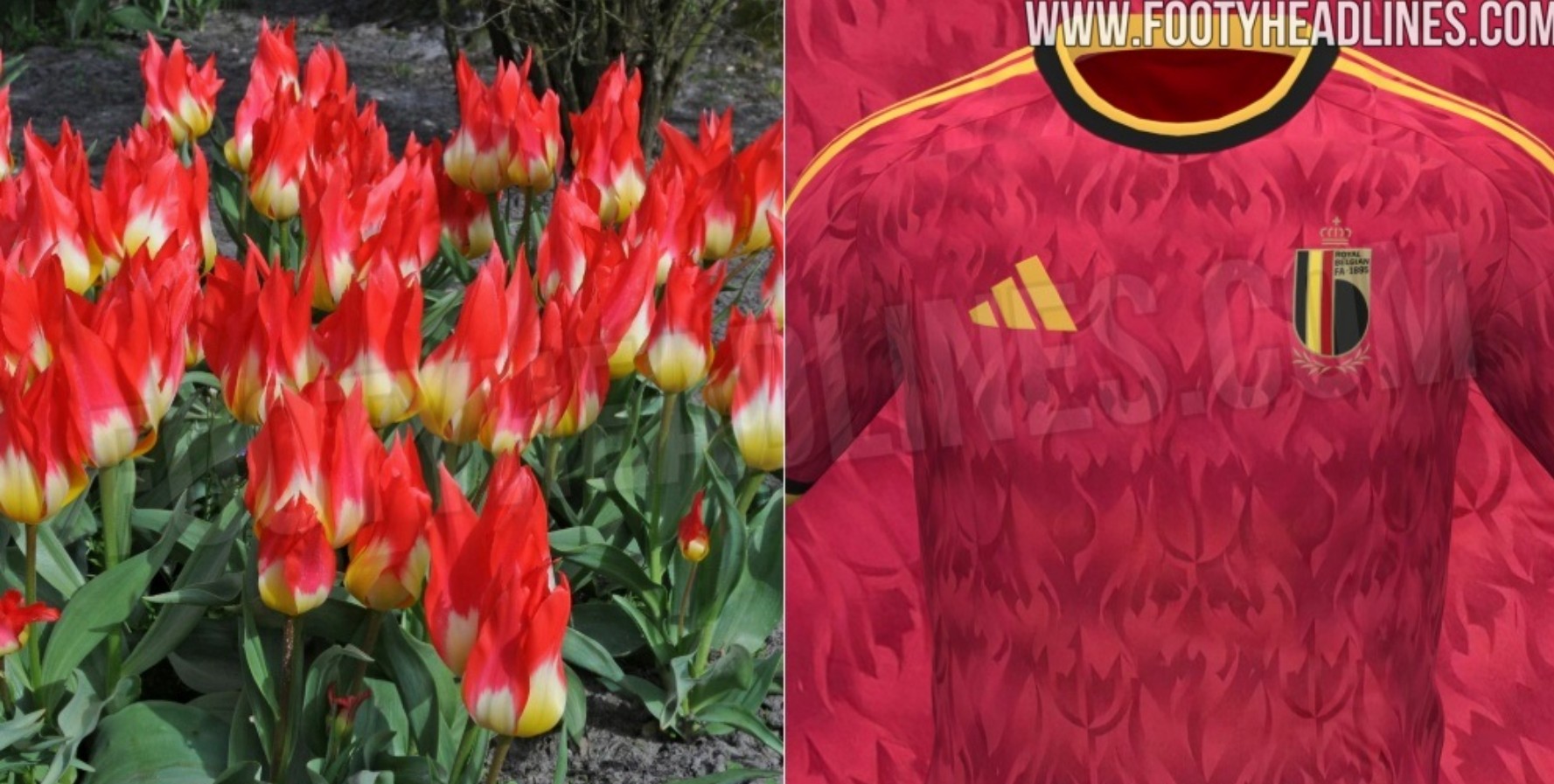 NprNu, 年的主场球, div NprNu, 年的主场球, div