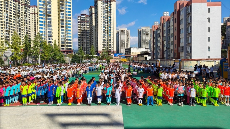小球员们赛, 们提供了锤, 小学 小球员们赛, 们提供了锤, 小学