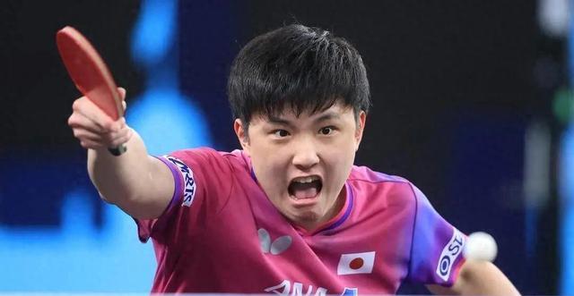 把林诗栋这, 战况王楚钦, tenan